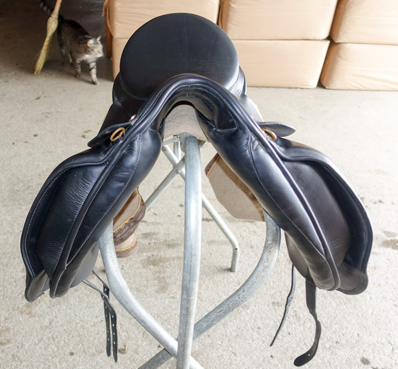 pic of Ideal Dressage Saddle front